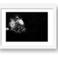 51 — framed