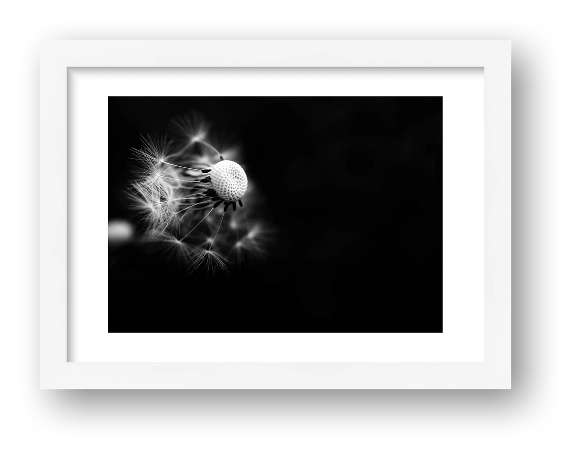 51 — framed