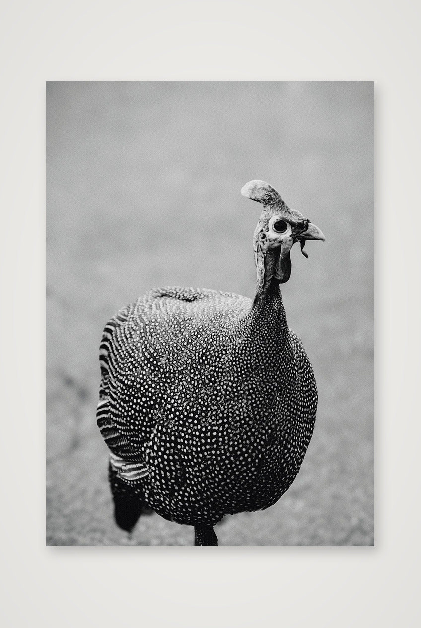 490 — A3 (30×42cm, 12×17") Print only