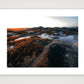 1392 — 84×59cm, 33×23" Print only