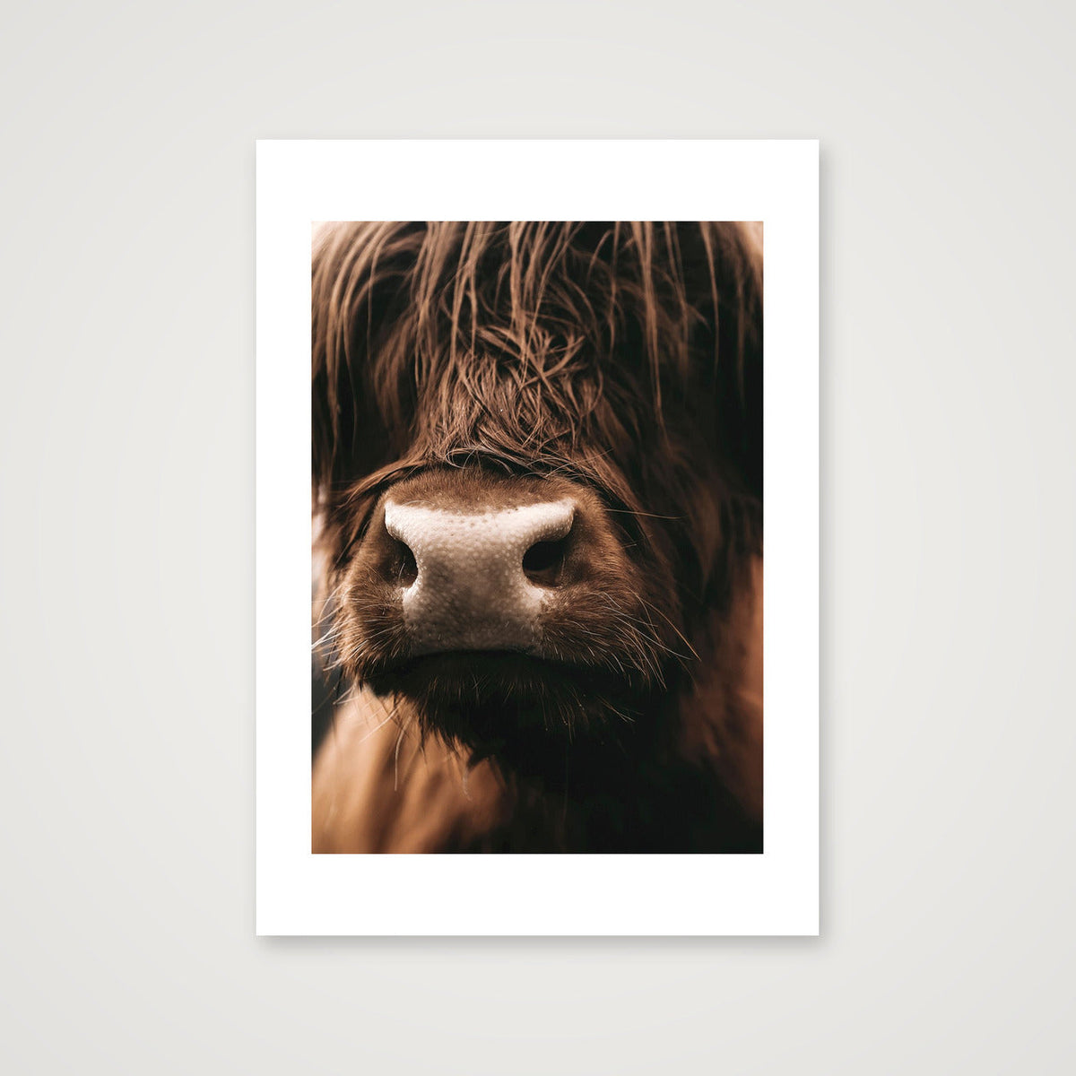 1585  — A3 (30×42cm, 12×17") Print only