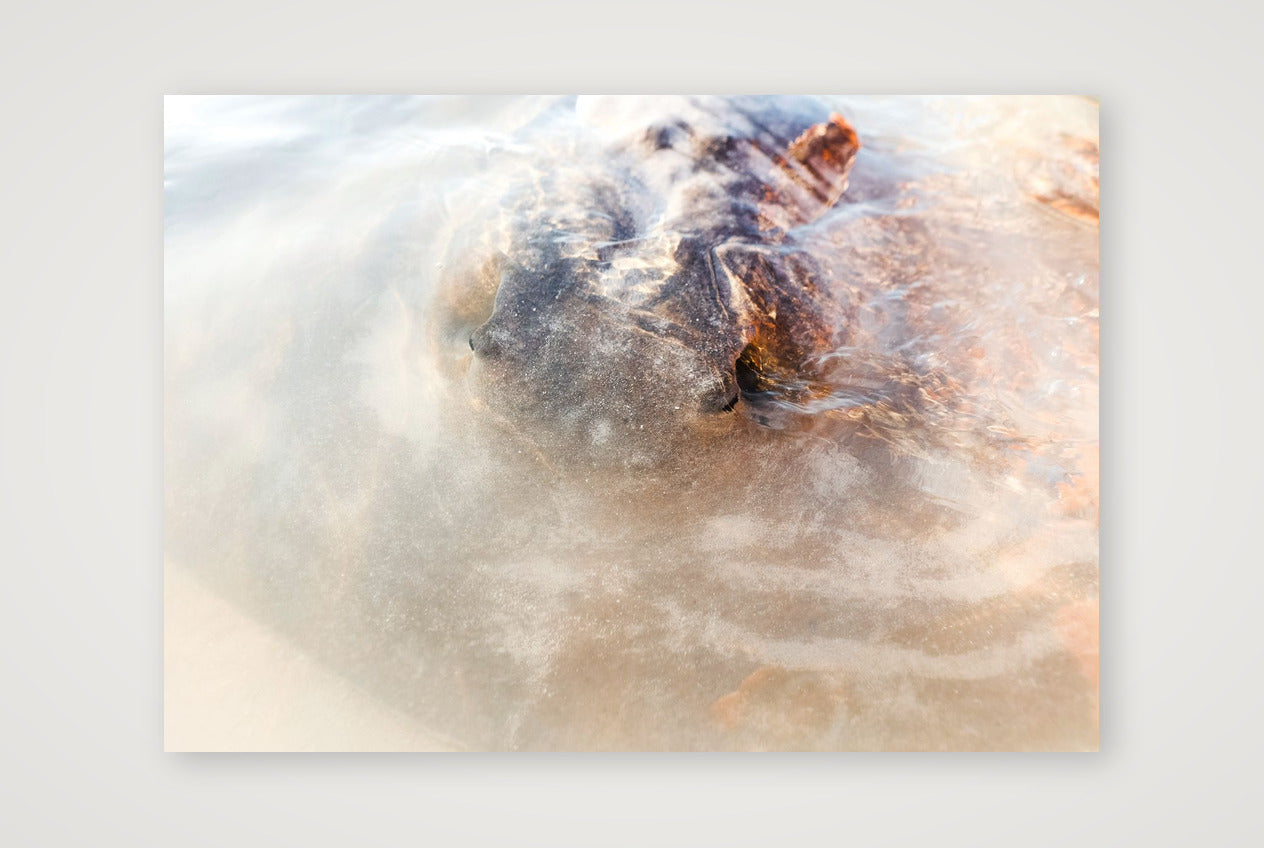 461 — 84×59cm, 33×23" Print only
