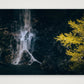 1309 — 59×42cm, 23×17" Print only