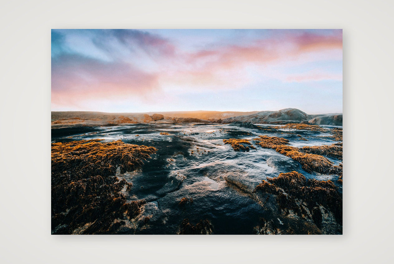 429 — A3 (42×30cm, 17×12") Print only