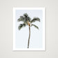 717 — 60×80cm, 24×31" Print only