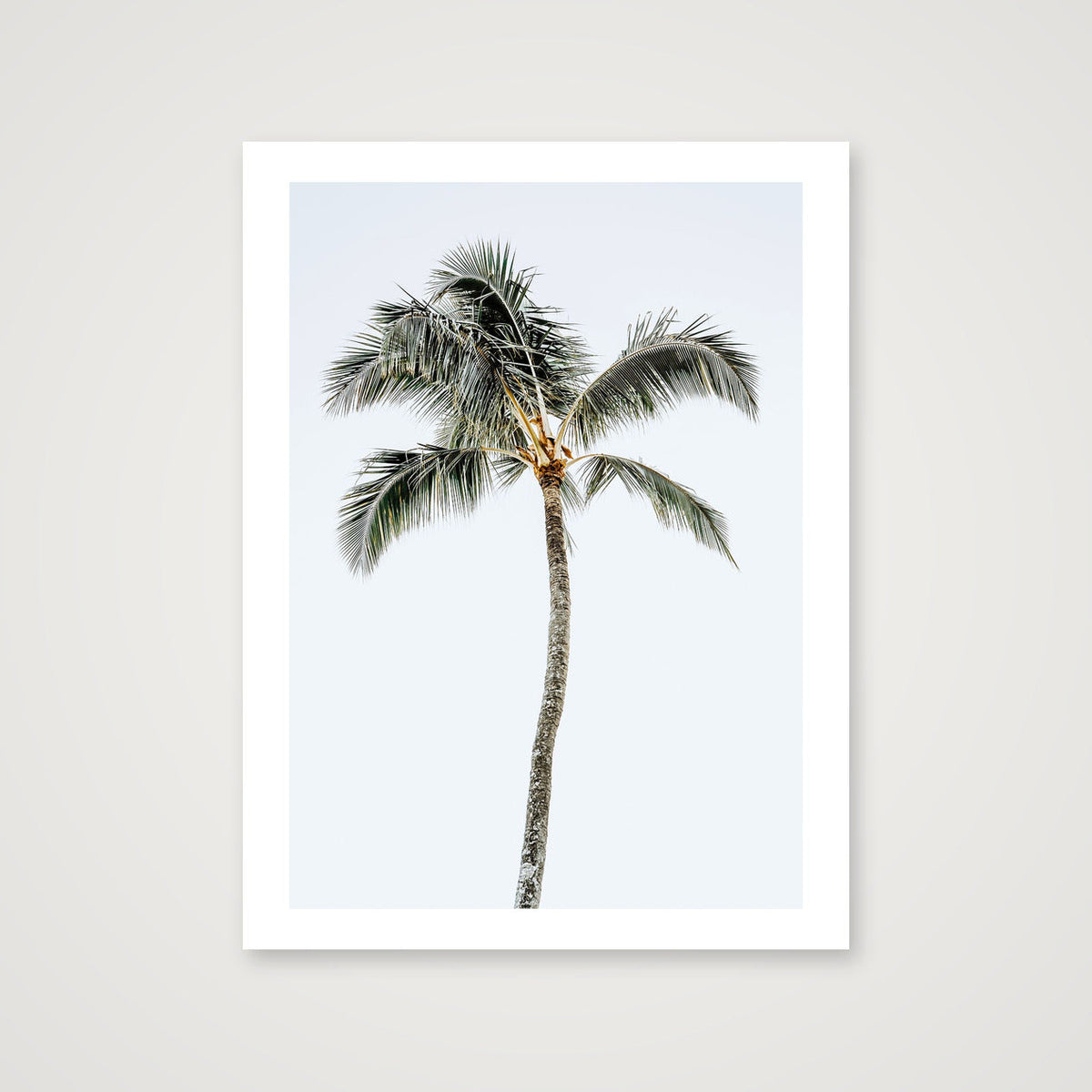 717 — 60×80cm, 24×31" Print only
