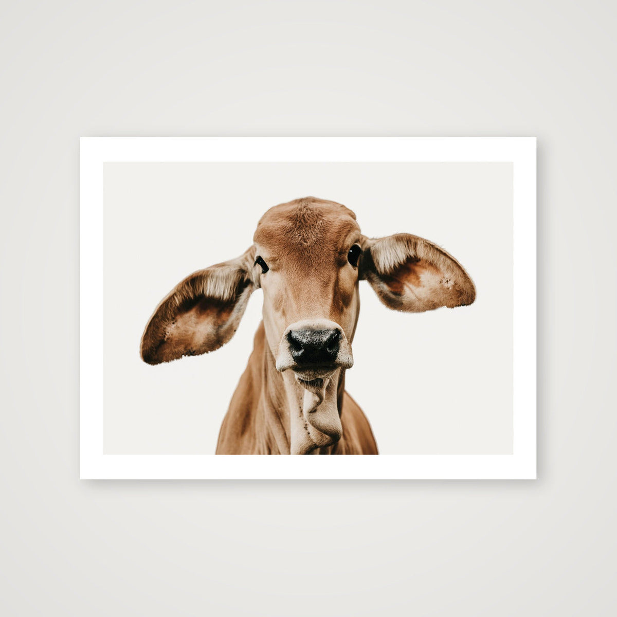 1317 — 80×60cm, 31×24" Print only