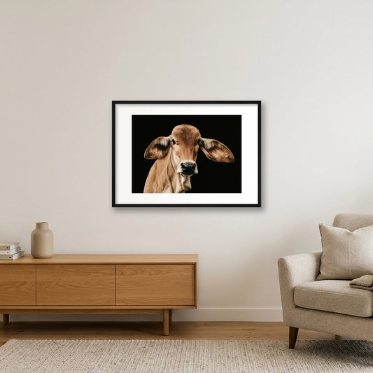 1371 — 84×59cm, 33×23" Black Frame