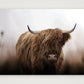 1588 — 59×42cm, 23×17" Print only