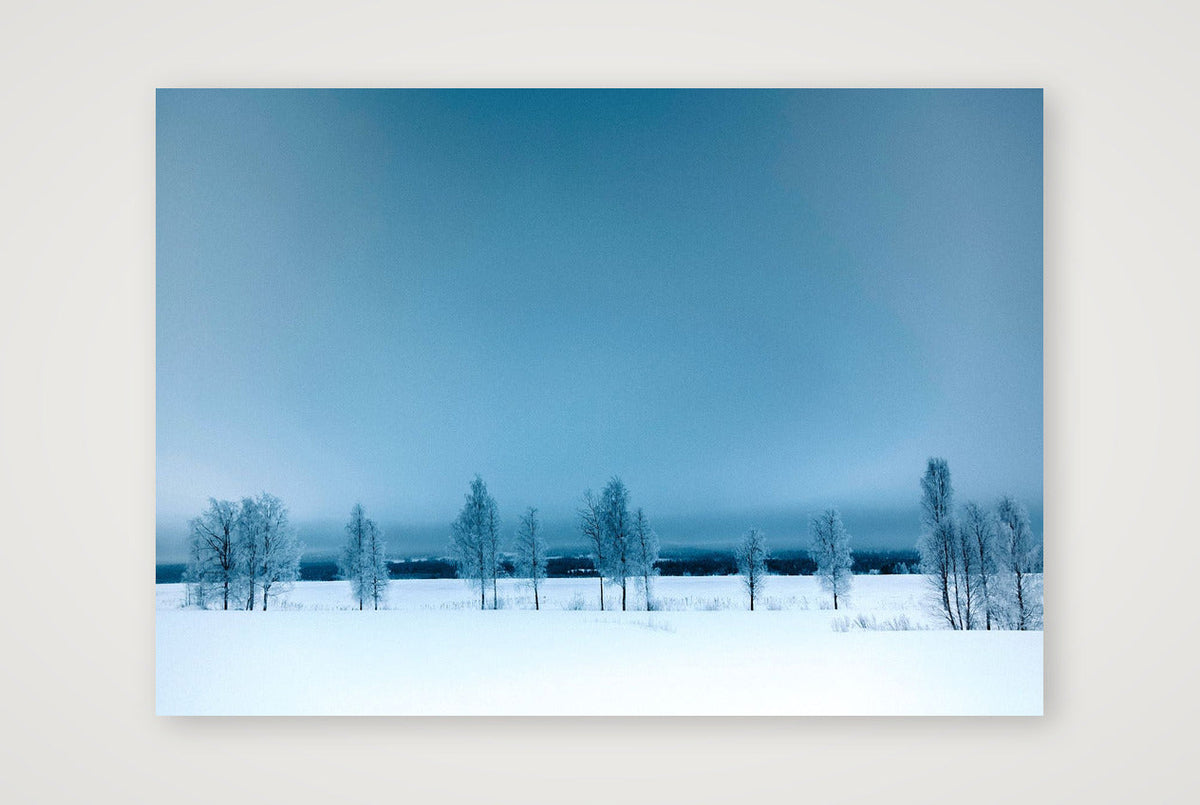 448 — A4 (30×21cm, 12×8") Print only