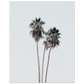 e08c2d1a-fed9-473f-9be7-cea4ac22d618