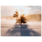 e0963112-29f9-4f46-ba67-9e9114ce1e15