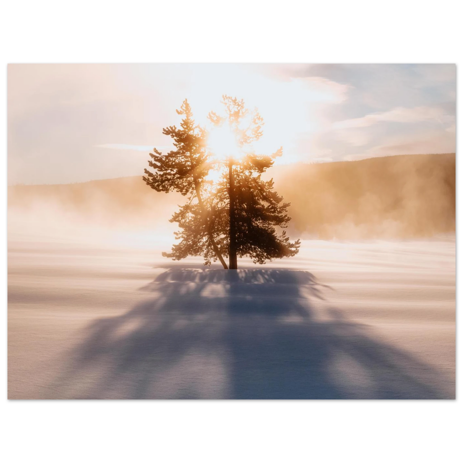 e0963112-29f9-4f46-ba67-9e9114ce1e15