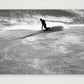 453 — 84×59cm, 33×23" Print only