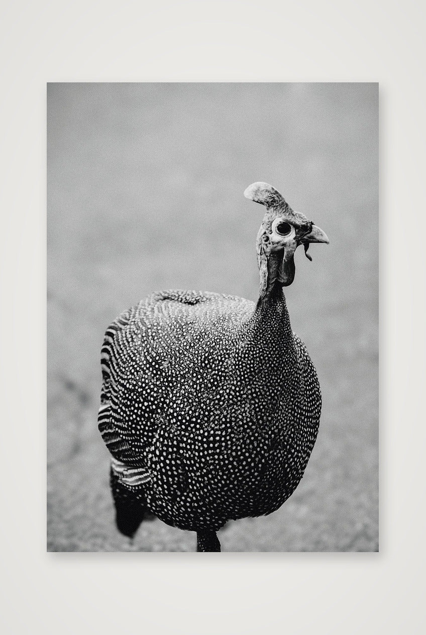 490 — A4 (21×30cm, 8×12") Print only