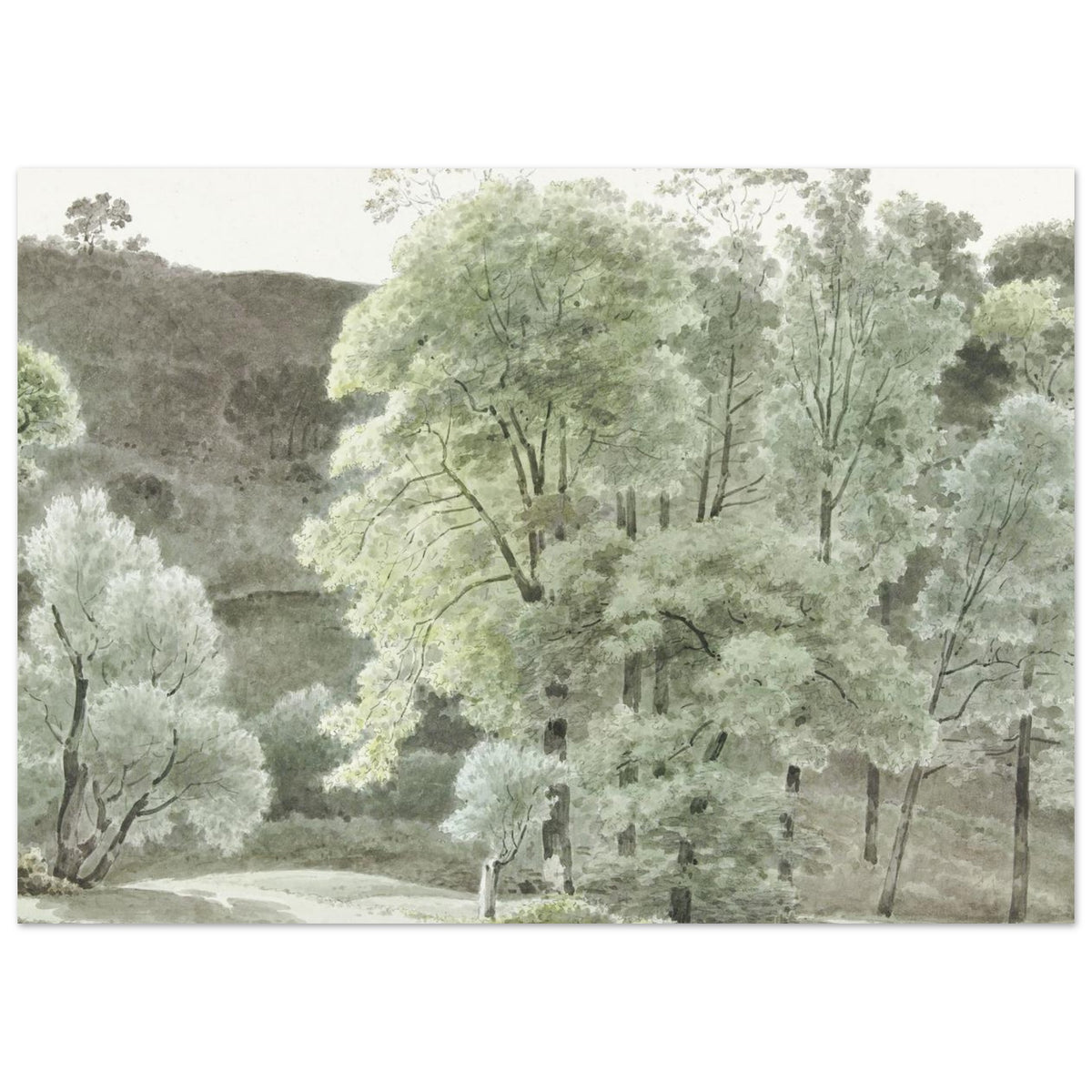 Woodland Escape Wall Art foam board wall art print for modern home decor by Kzara Visual