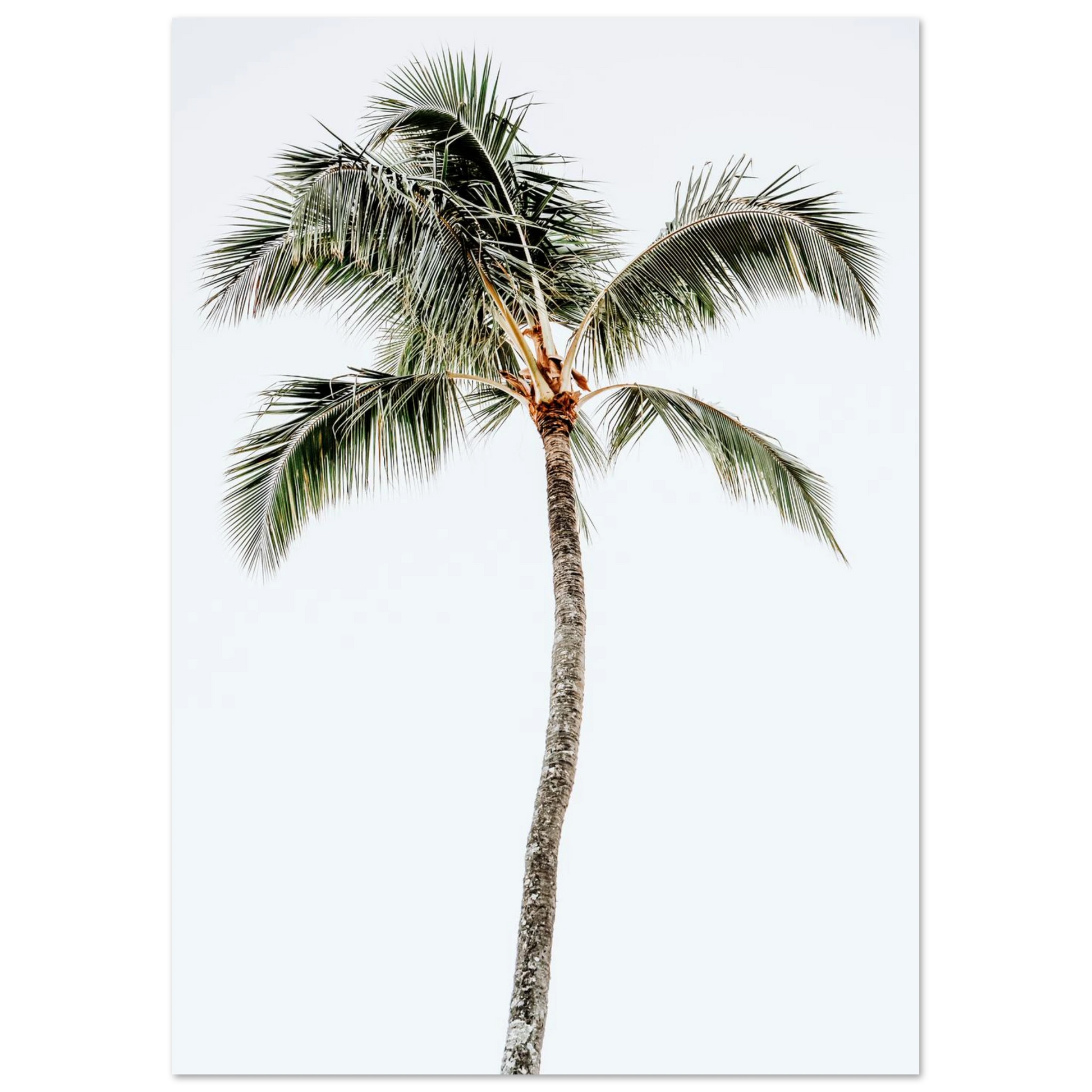 e1a039dc-2dbc-487c-b368-53fedbc0b0c9