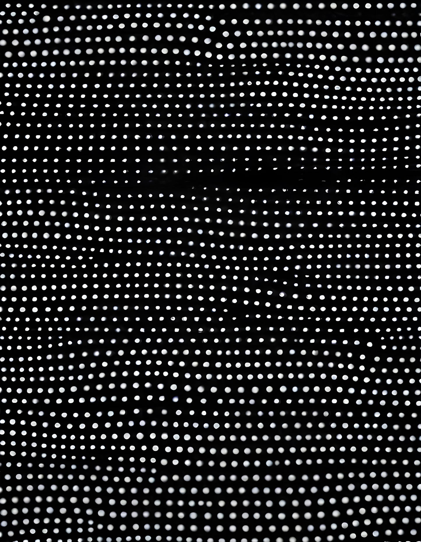 Abstract black and white pattern of evenly spaced dots creating a visually striking design