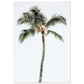 e1c49e3e-eb49-4ba7-8ced-cb905b29b4d5