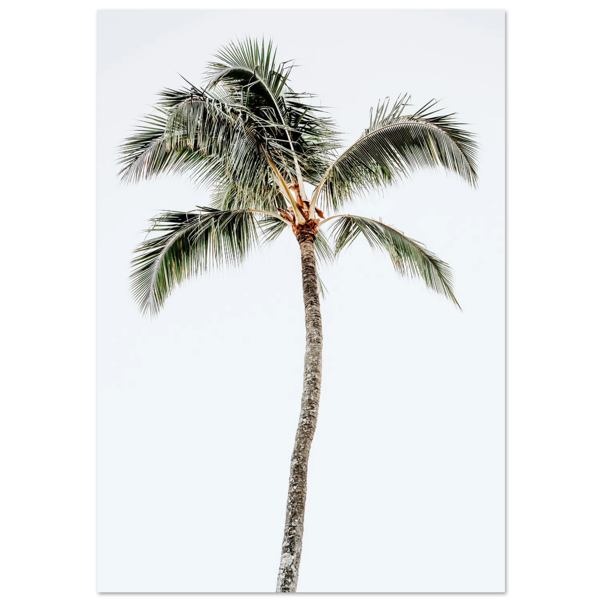e1c49e3e-eb49-4ba7-8ced-cb905b29b4d5