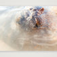 461 — 59×42cm, 23×17" Print only