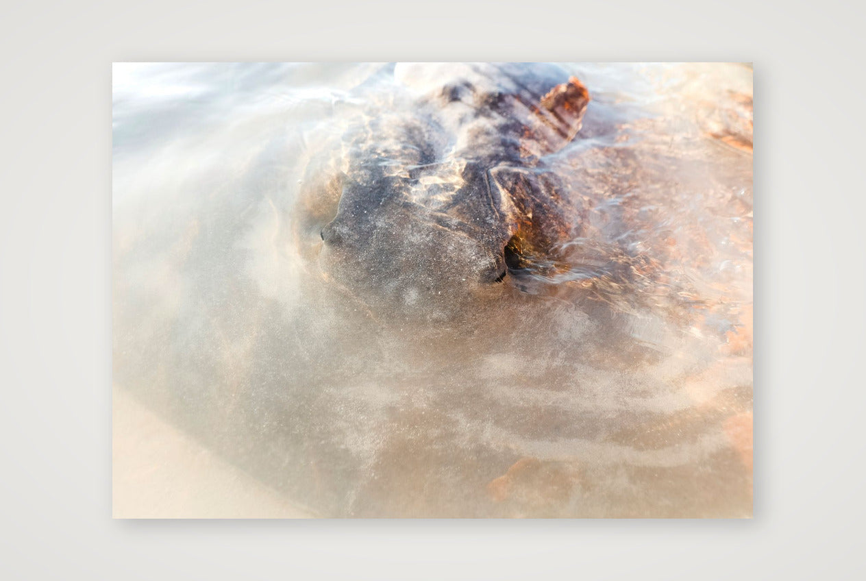 461 — 59×42cm, 23×17" Print only