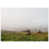 e2f47303-3ac8-4cba-8641-b18452564075