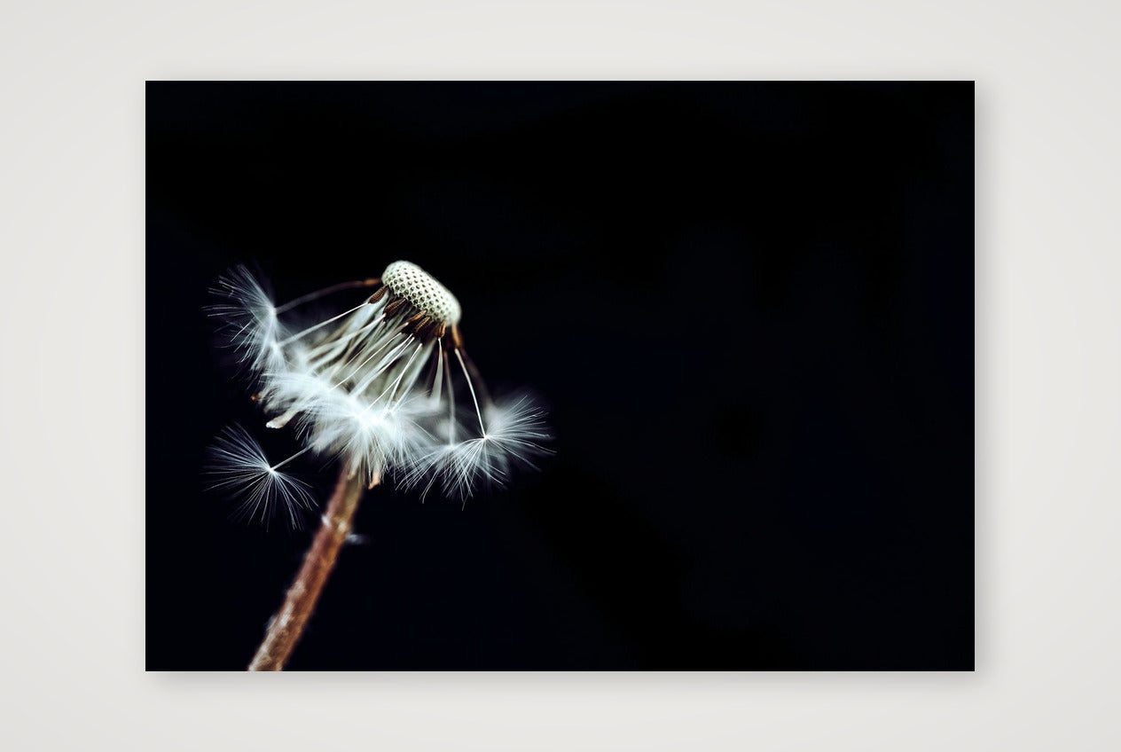24 — 59×42cm, 23×17" Print only