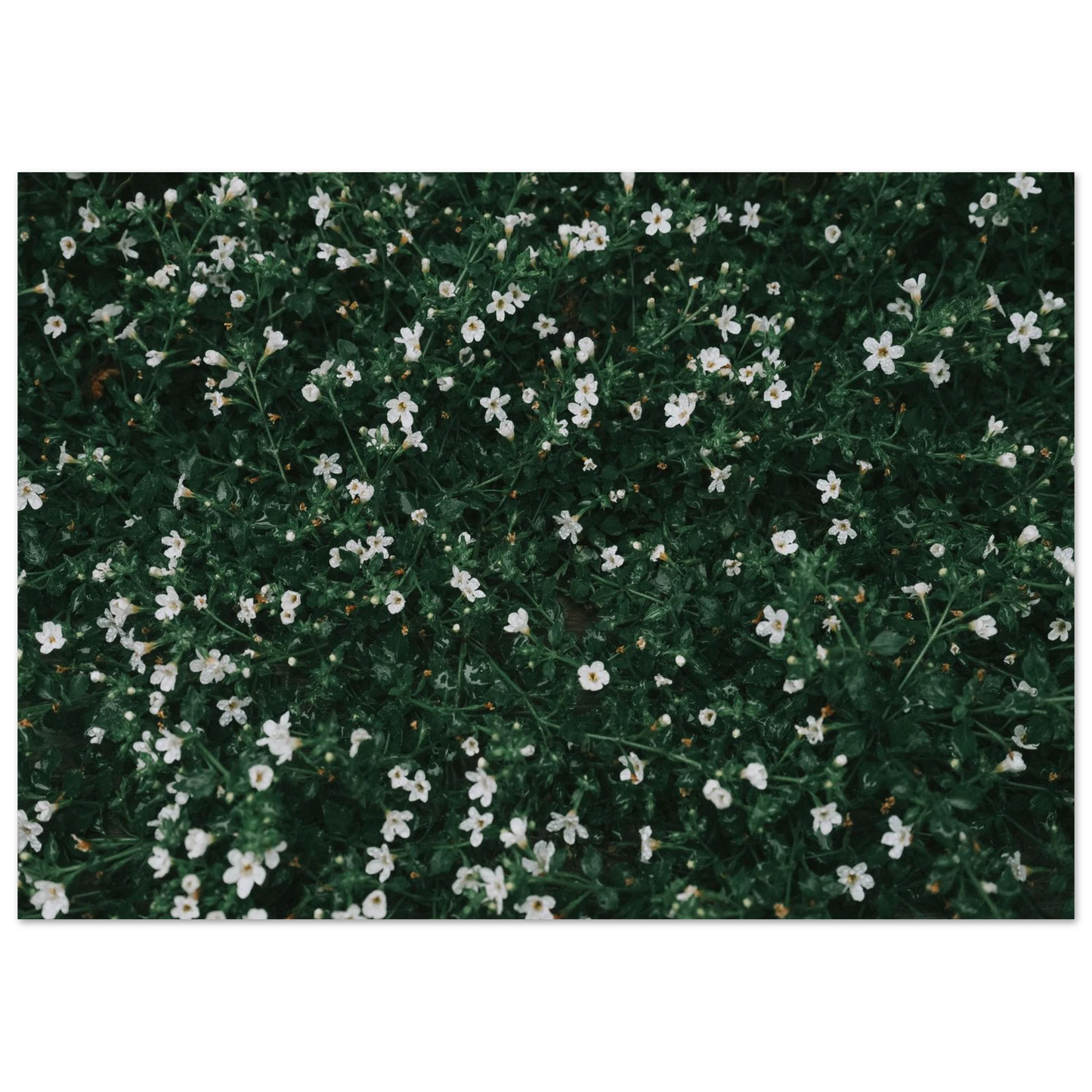 e3d359fd-6646-4f47-99a0-3bb765dc036b