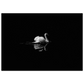 e41634eb-a4d3-4126-bd2e-8379dad3f19b