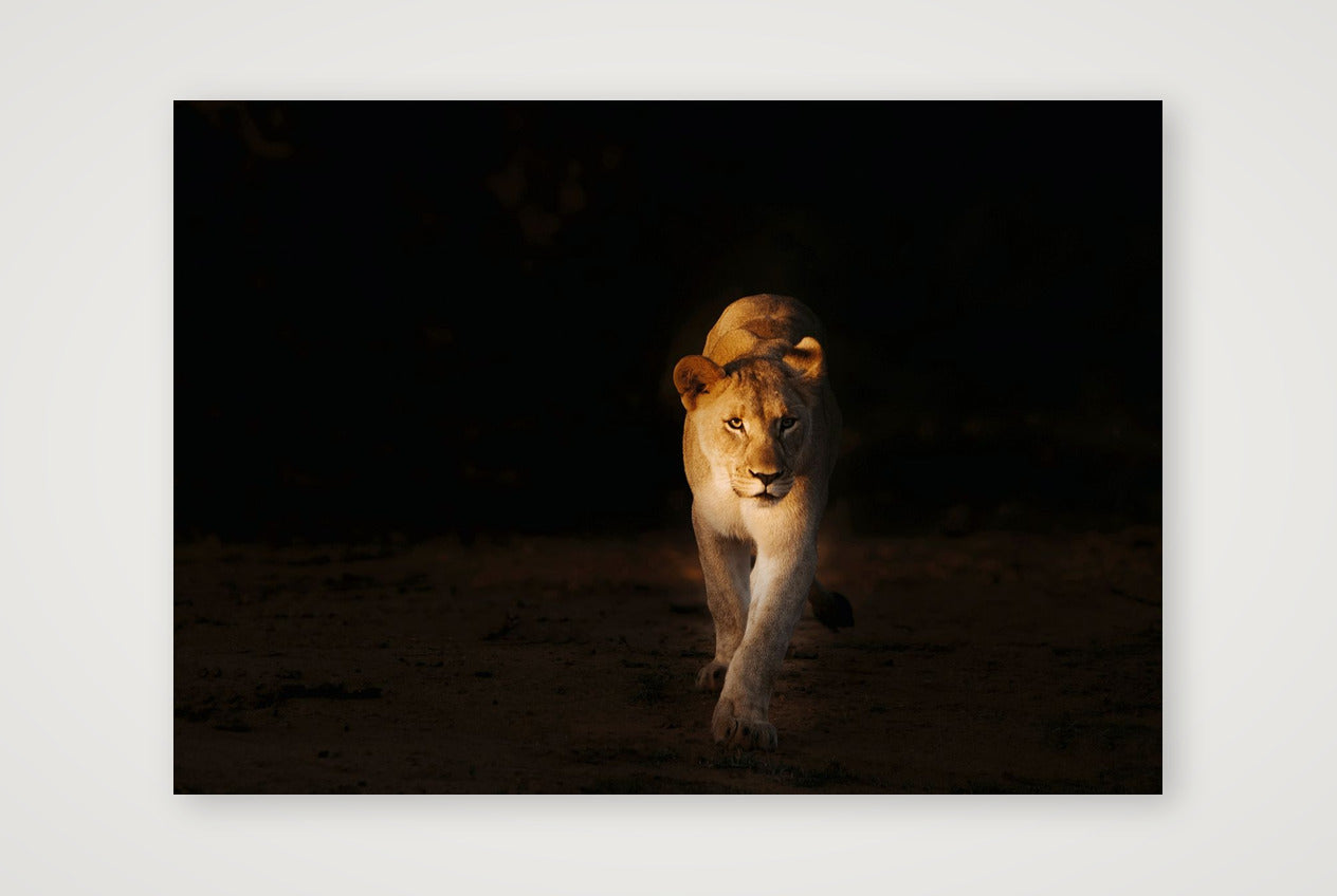 416 — 84×59cm, 33×23" Print only