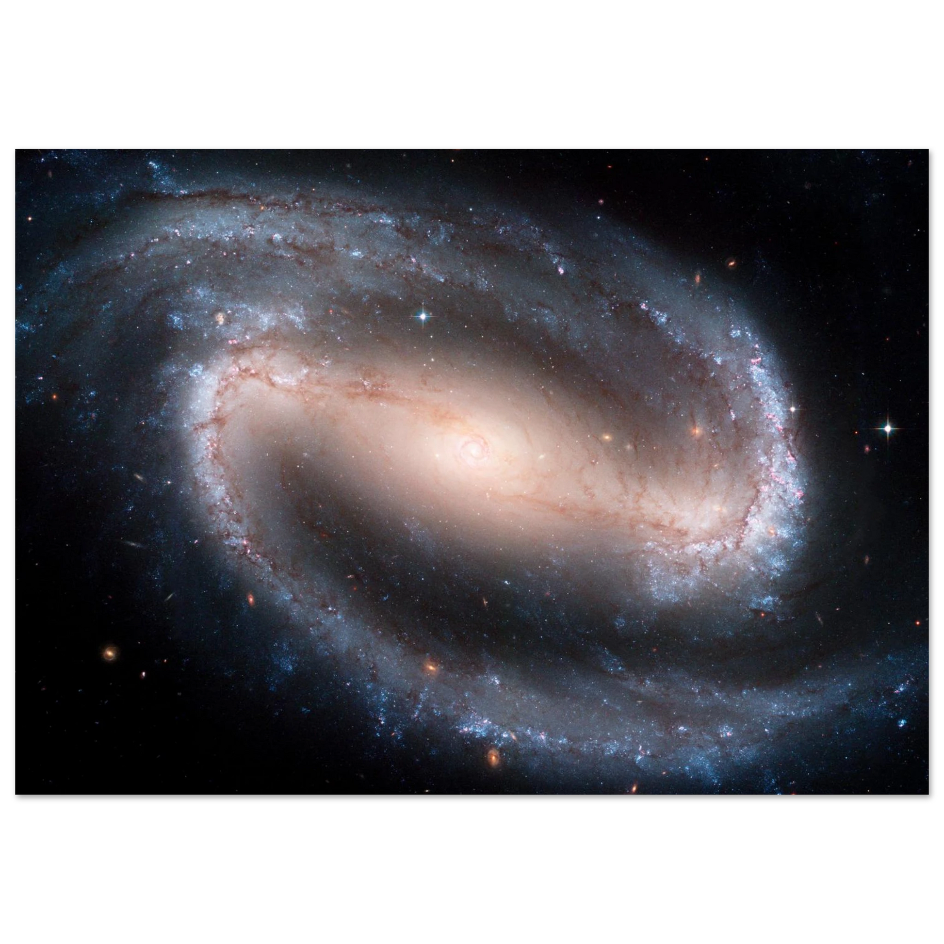 e6133132-9865-4bef-9997-ec851e7a004e