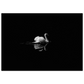 e62f6018-c5d4-447e-b3d9-c23f578d35d4