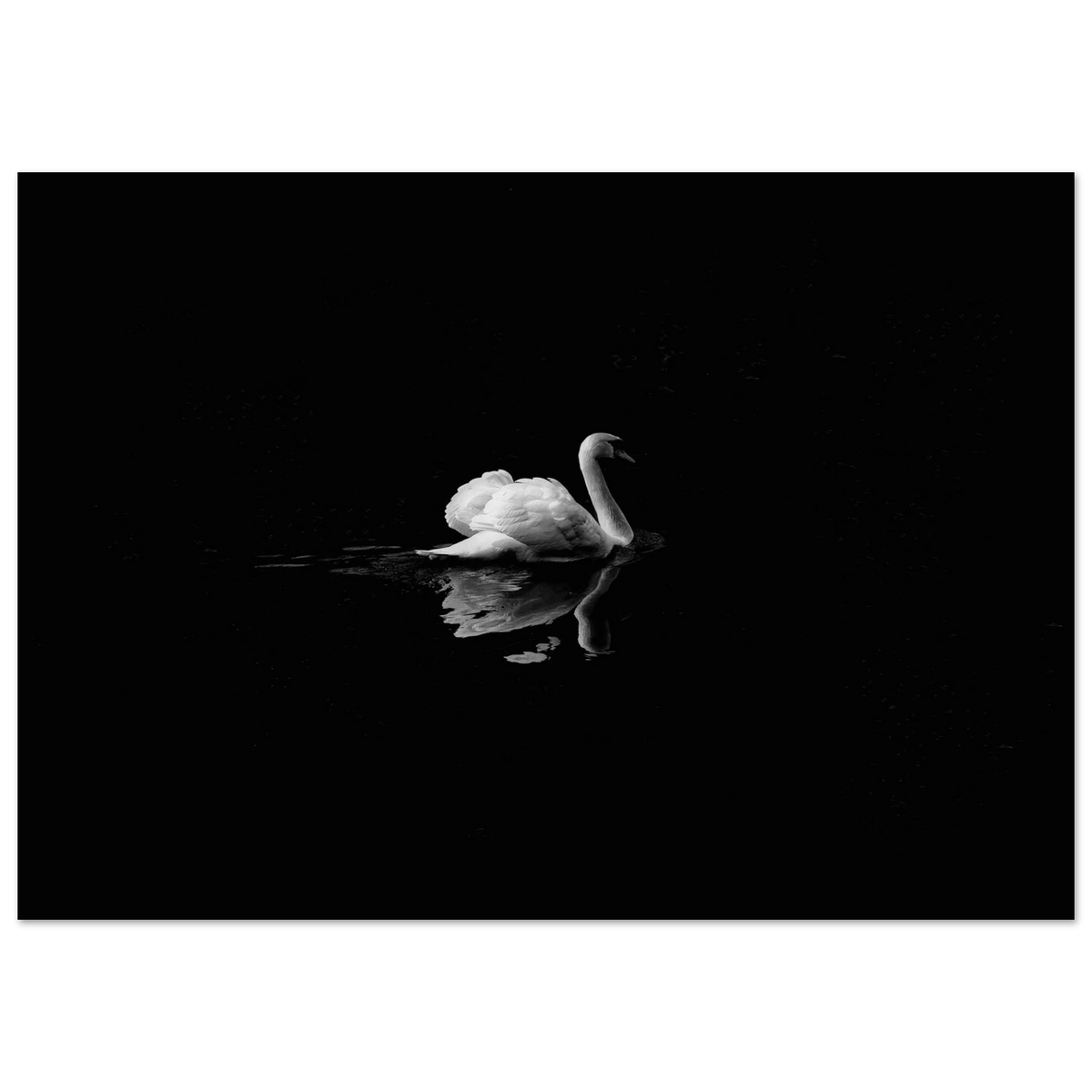 e62f6018-c5d4-447e-b3d9-c23f578d35d4