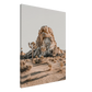 e7599cf3-d018-4f25-809e-85db37630b12