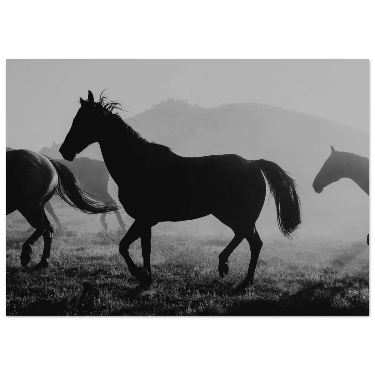 e75c2843-feb8-46a5-9b5e-934a762c0260