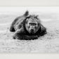 71 — A3 (42×30cm, 17×12") Print only