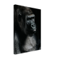 ea0eadd9-4ec9-4cb4-b8e9-e6d89fdc89c5