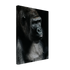 ea0eadd9-4ec9-4cb4-b8e9-e6d89fdc89c5