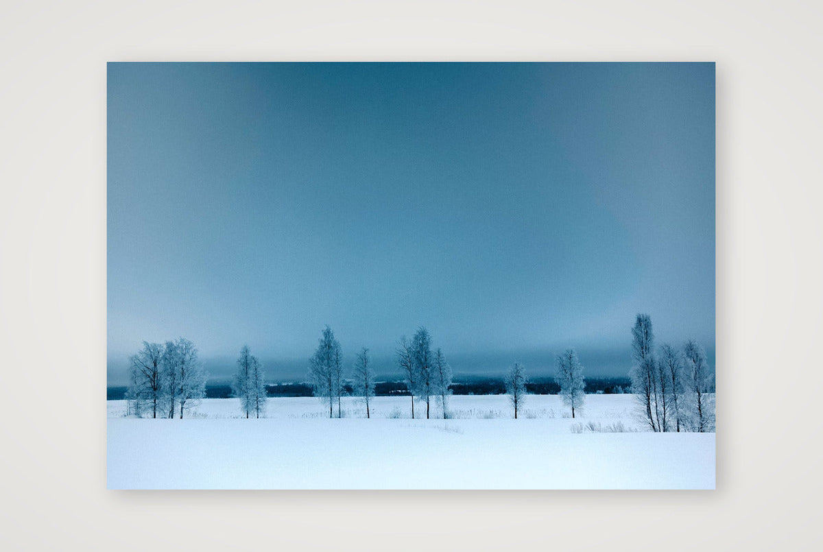 448 — 84×59cm, 33×23" Print only
