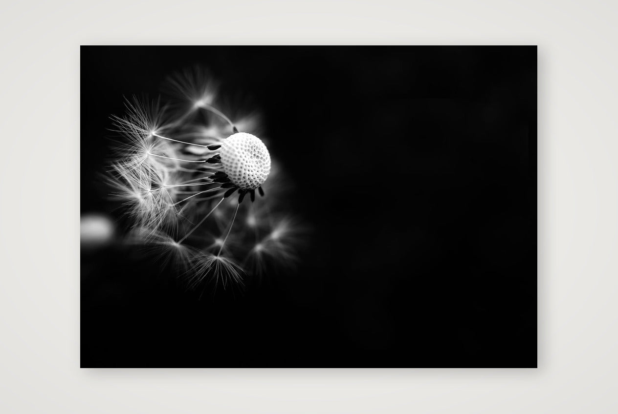 51 — A3 (42×30cm, 17×12") Print only