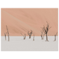 ebb70187-6522-4436-94e0-ae6012489715