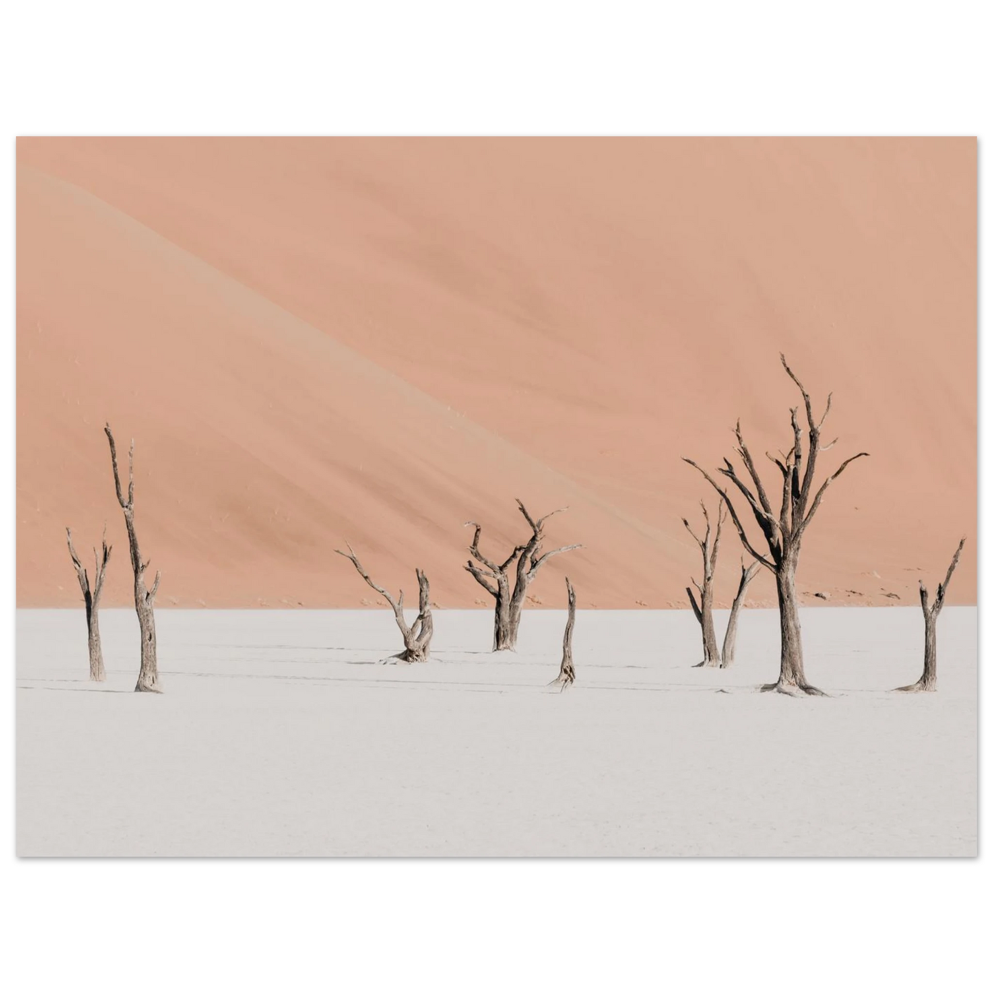 ebb70187-6522-4436-94e0-ae6012489715