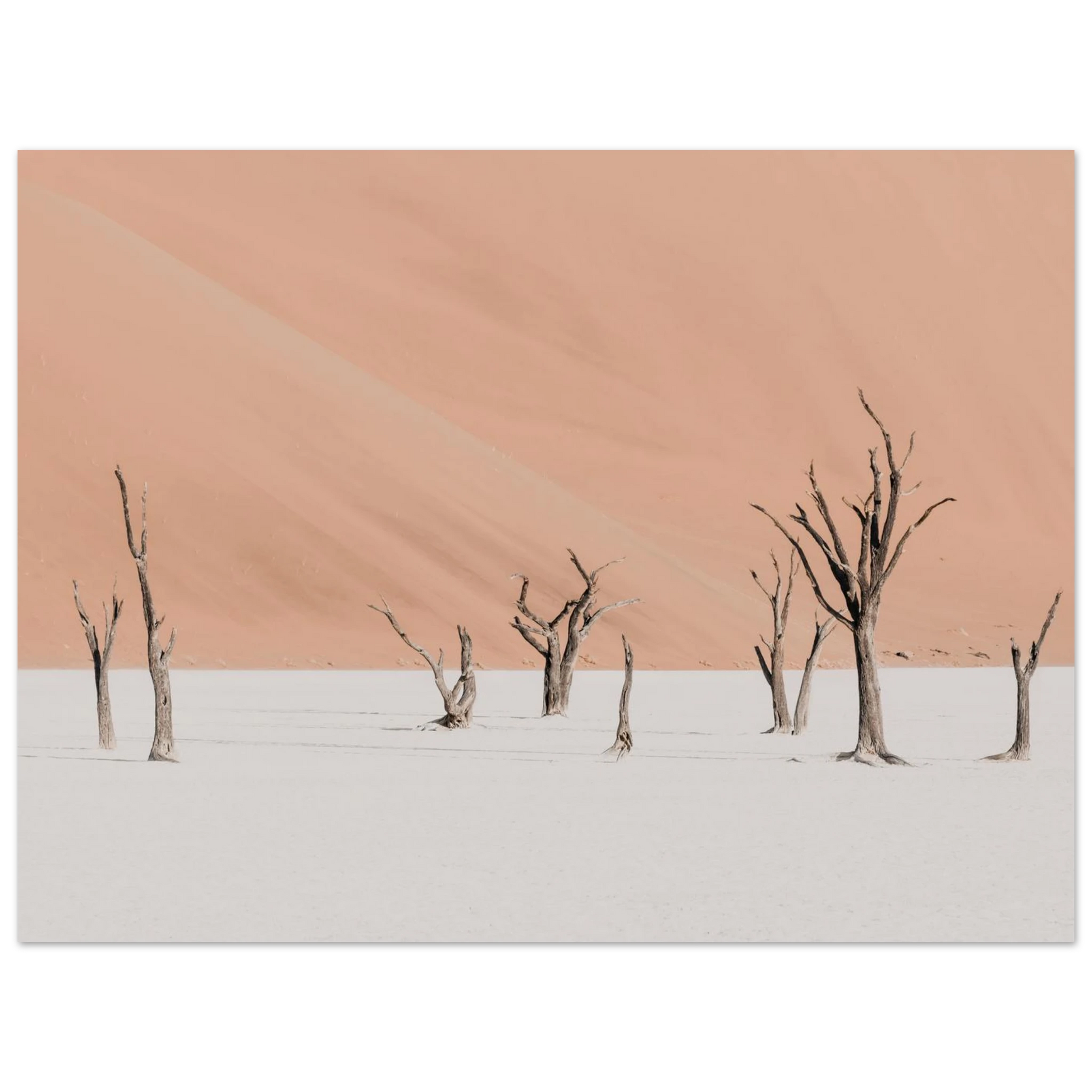 ebb70187-6522-4436-94e0-ae6012489715