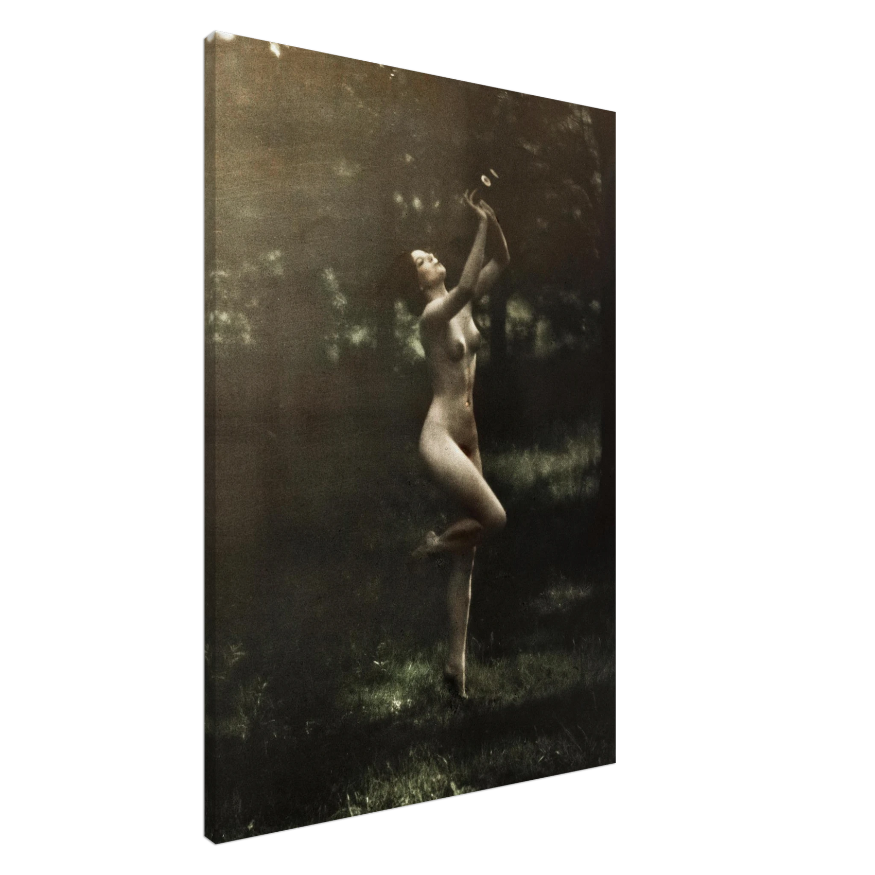 Ethereal Forest Nymph Canvas Print - Dreamlike Sepia Tones for a Touch of Enchantment