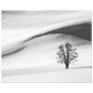 ebcac3ee-7f4e-435b-a645-09ad8148bbb2