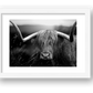1586 — framed