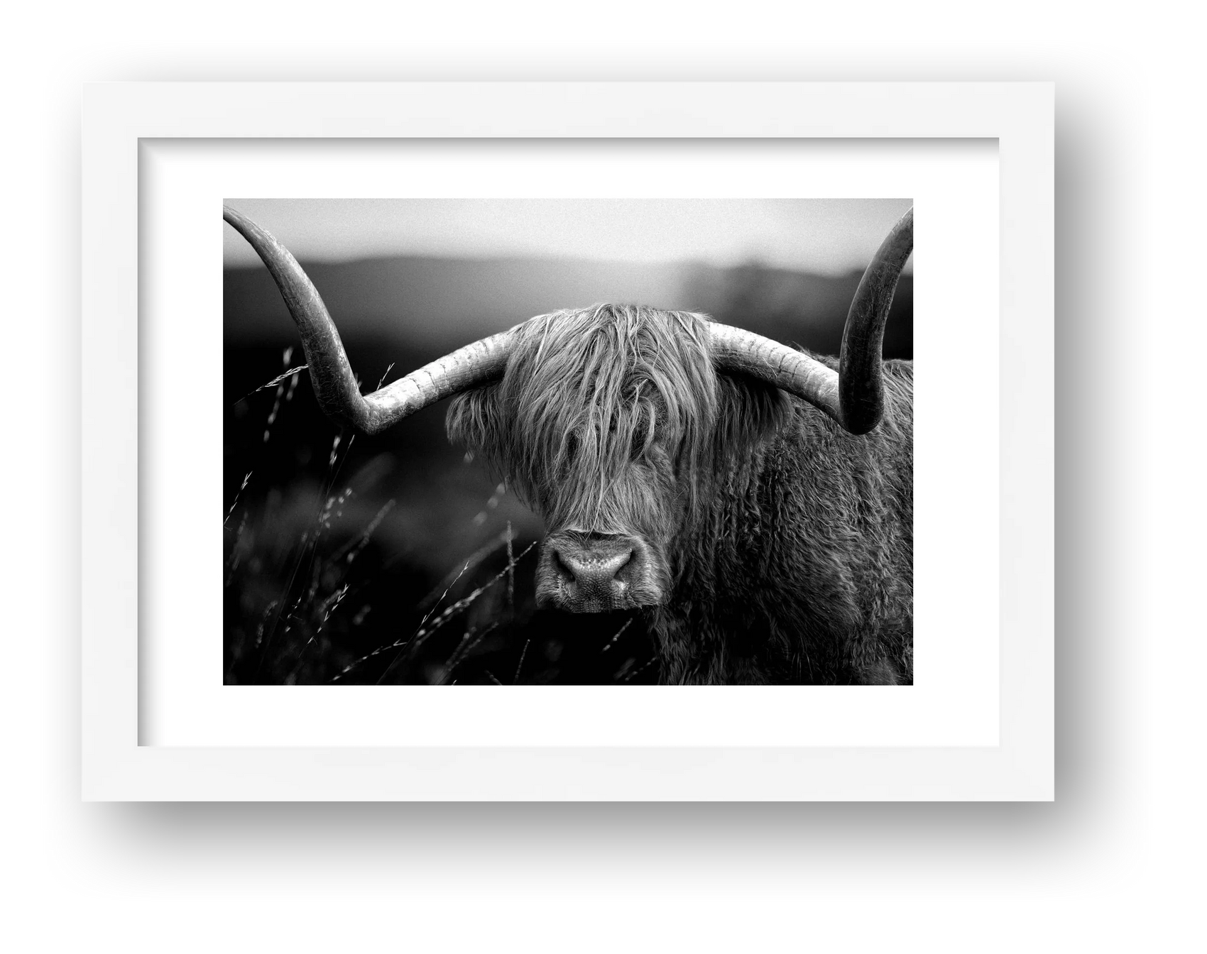 1586 — framed