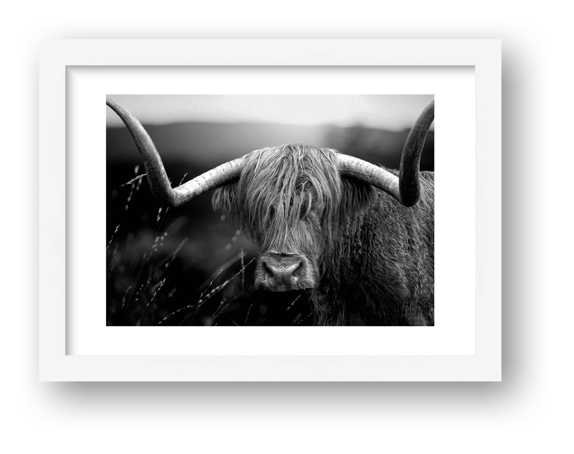 1586 — framed