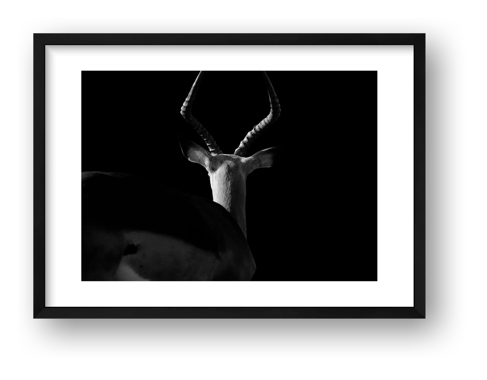 121 — framed